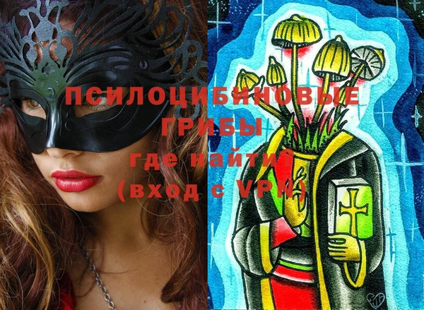 прущие крисы Медвежьегорск