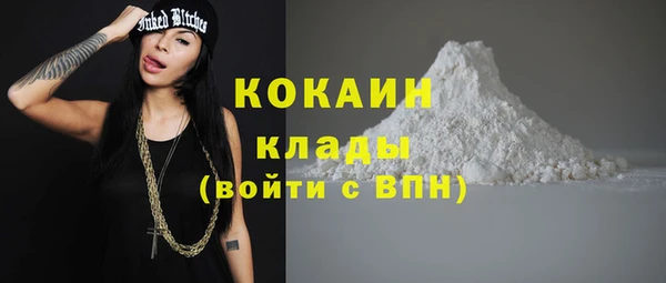 прущие крисы Медвежьегорск