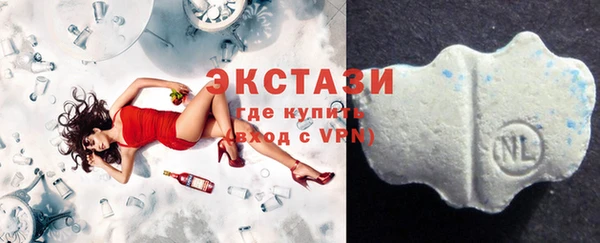 твердый Мегион