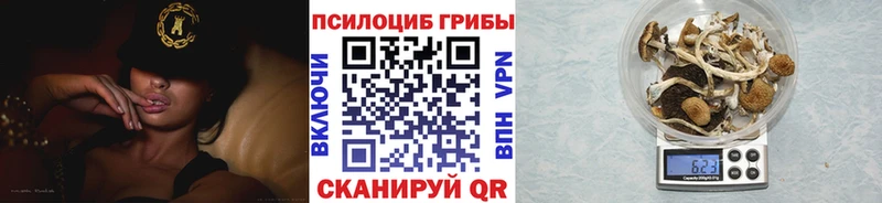 MEGA tor  где купить   Поворино  Псилоцибиновые грибы мицелий 