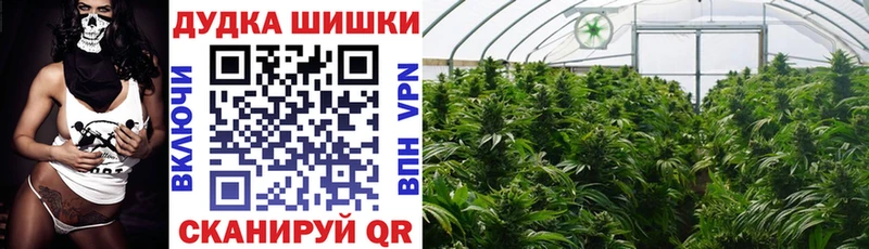 гидра ONION  Поворино  МАРИХУАНА Bruce Banner 